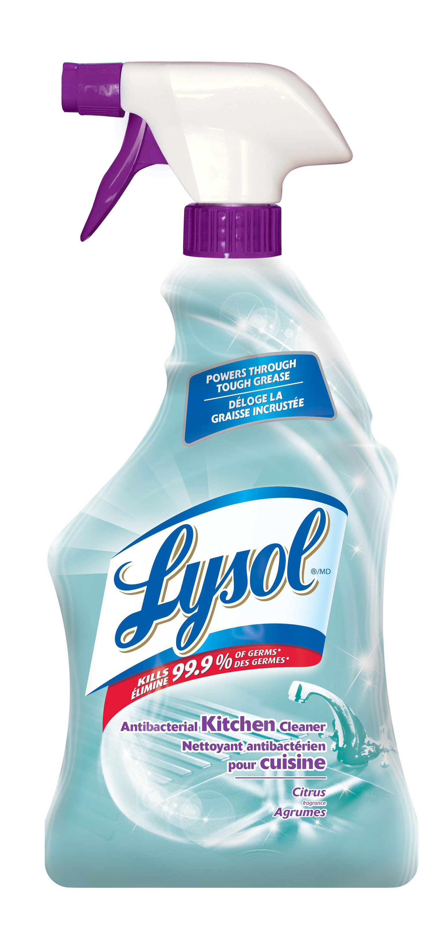 LYSOL Antibacterial Kitchen Cleaner  Citrus Canada Discontinued